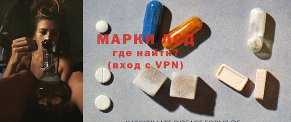 PSILOCYBIN Горно-Алтайск