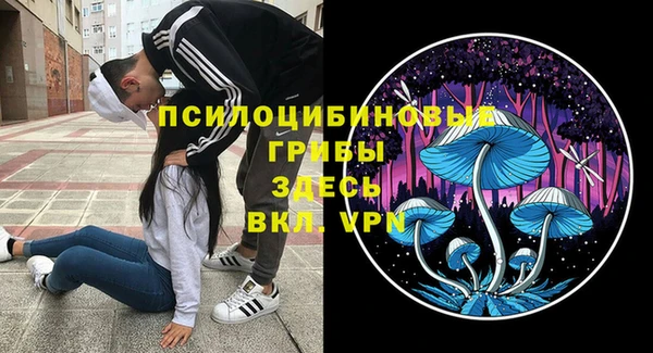 прущая мука Горняк