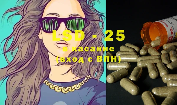 PSILOCYBIN Горно-Алтайск