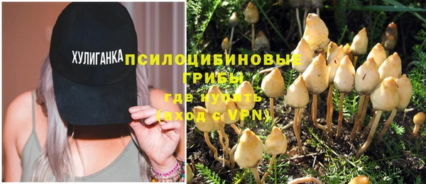 прущая мука Горняк