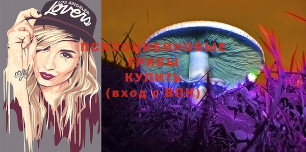 дживик Вязьма