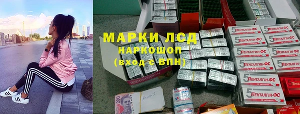 дживик Вязьма