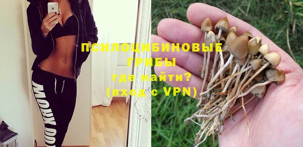бутират Вяземский