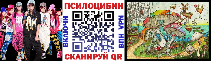 где можно купить   Давлеканово  Псилоцибиновые грибы Magic Shrooms 